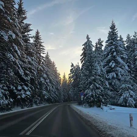 Lägenhet Skalkowy Kat Sromowce Wyzne