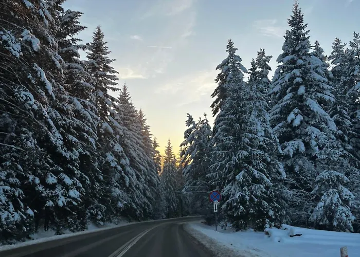 Apartament Skałkowy Kąt Sromowce Wyzne